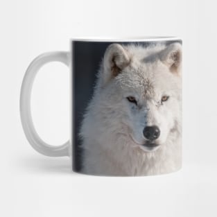 Arctic Wolves Mug